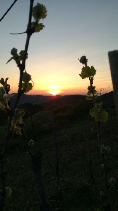 Willa Oasi Di Mastarone - Il Vino E Le Rose Momperone Zewnętrze zdjęcie